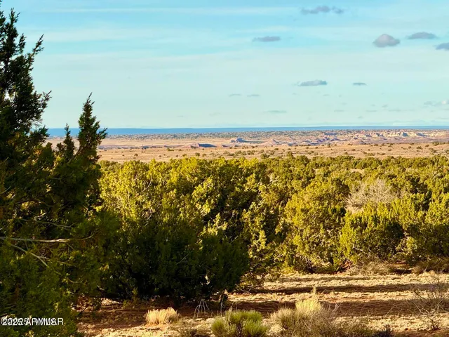 $25,000 | 480 County Rd N6400, St. Johns, AZ 85936