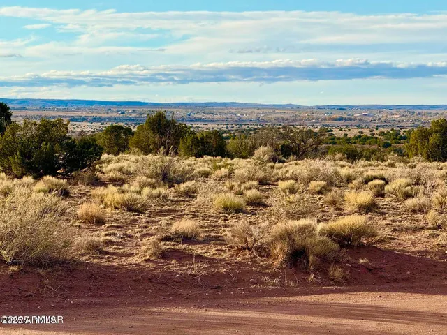 $25,000 | 480 County Rd N6400, St. Johns, AZ 85936