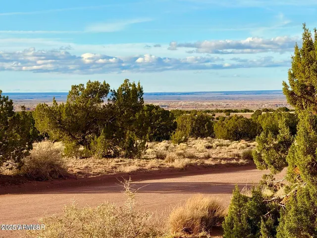 $25,000 | 480 County Rd N6400, St. Johns, AZ 85936