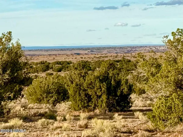$24,000 | 480 County Rd N6400, St. Johns, AZ 85936