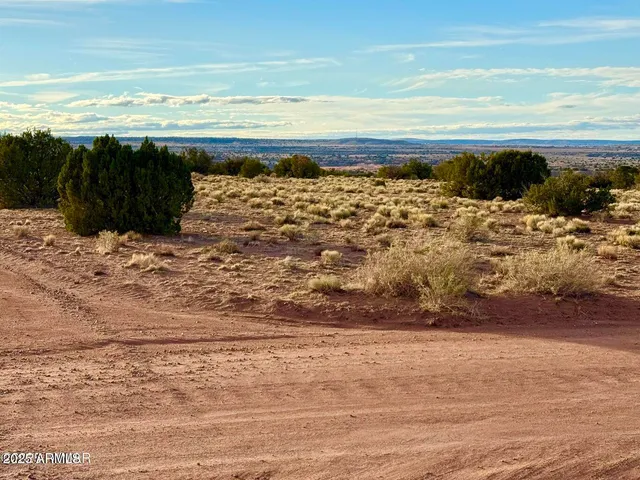 $25,000 | 480 County Rd N6400, St. Johns, AZ 85936