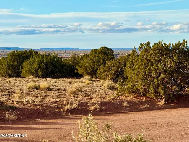 $25,000 | 480 County Rd N6400, St. Johns, AZ 85936