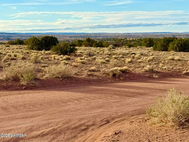 $25,000 | 480 County Rd N6400, St. Johns, AZ 85936