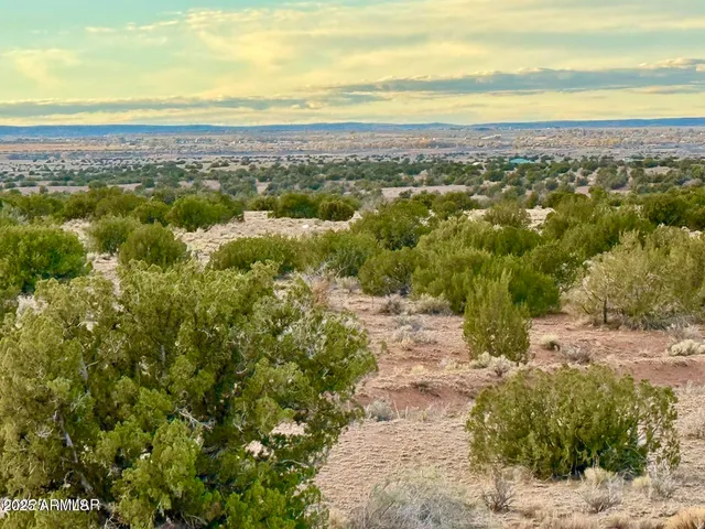$25,000 | 480 County Rd N6400, St. Johns, AZ 85936