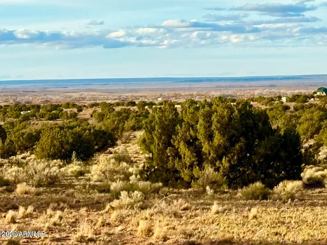 $25,000 | 480 County Rd N6400, St. Johns, AZ 85936