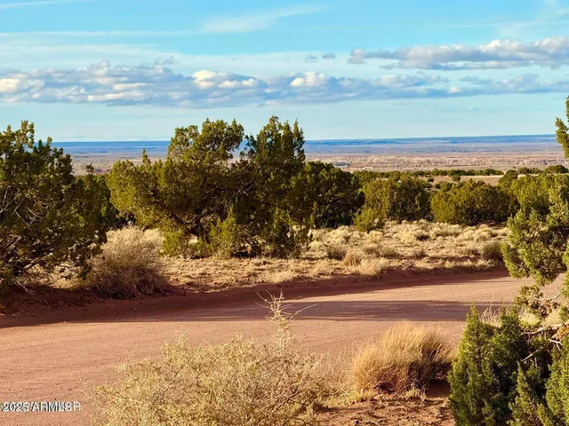 $25,000 | 480 County Rd N6400, St. Johns, AZ 85936