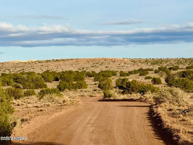 $25,000 | 480 County Rd N6400, St. Johns, AZ 85936