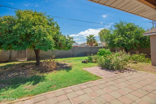 a view of a backyard with plants