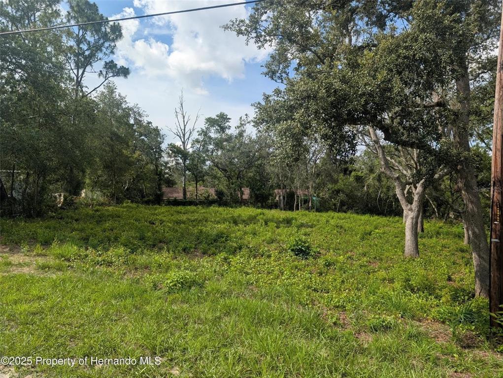 0 Merlin Circle Dade City, FL 33523 - Photo 1 of 8