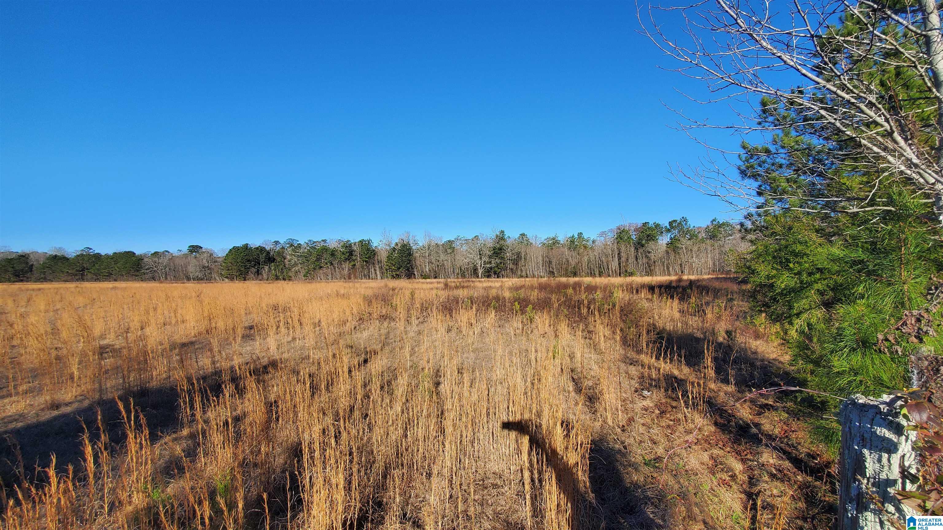 Sandtown Road, Unit 1 Millbrook, AL 36054 - Photo 3 of 11