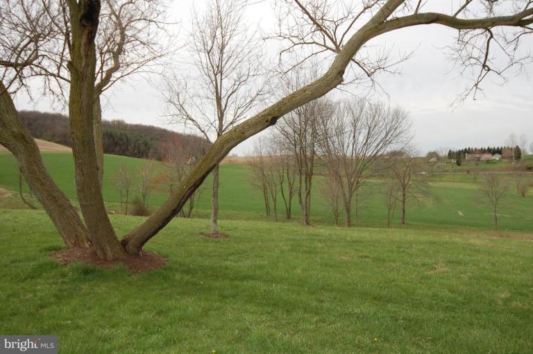 7791 Dollyhyde Road Mount Airy, MD 21771 - Photo 16 of 16 a view of a field with a tree