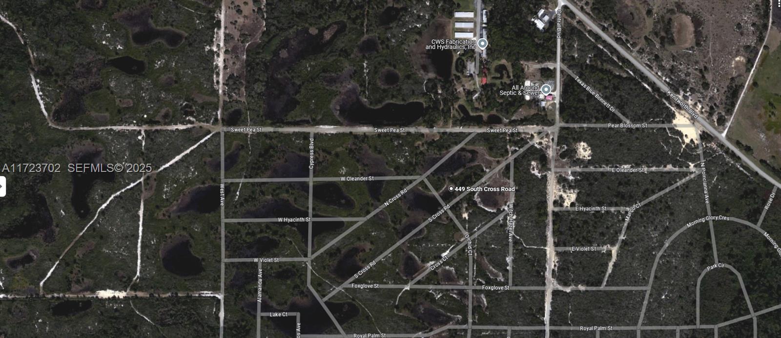 449 South Cross Road Sebring, FL 33876 - Photo 3 of 5