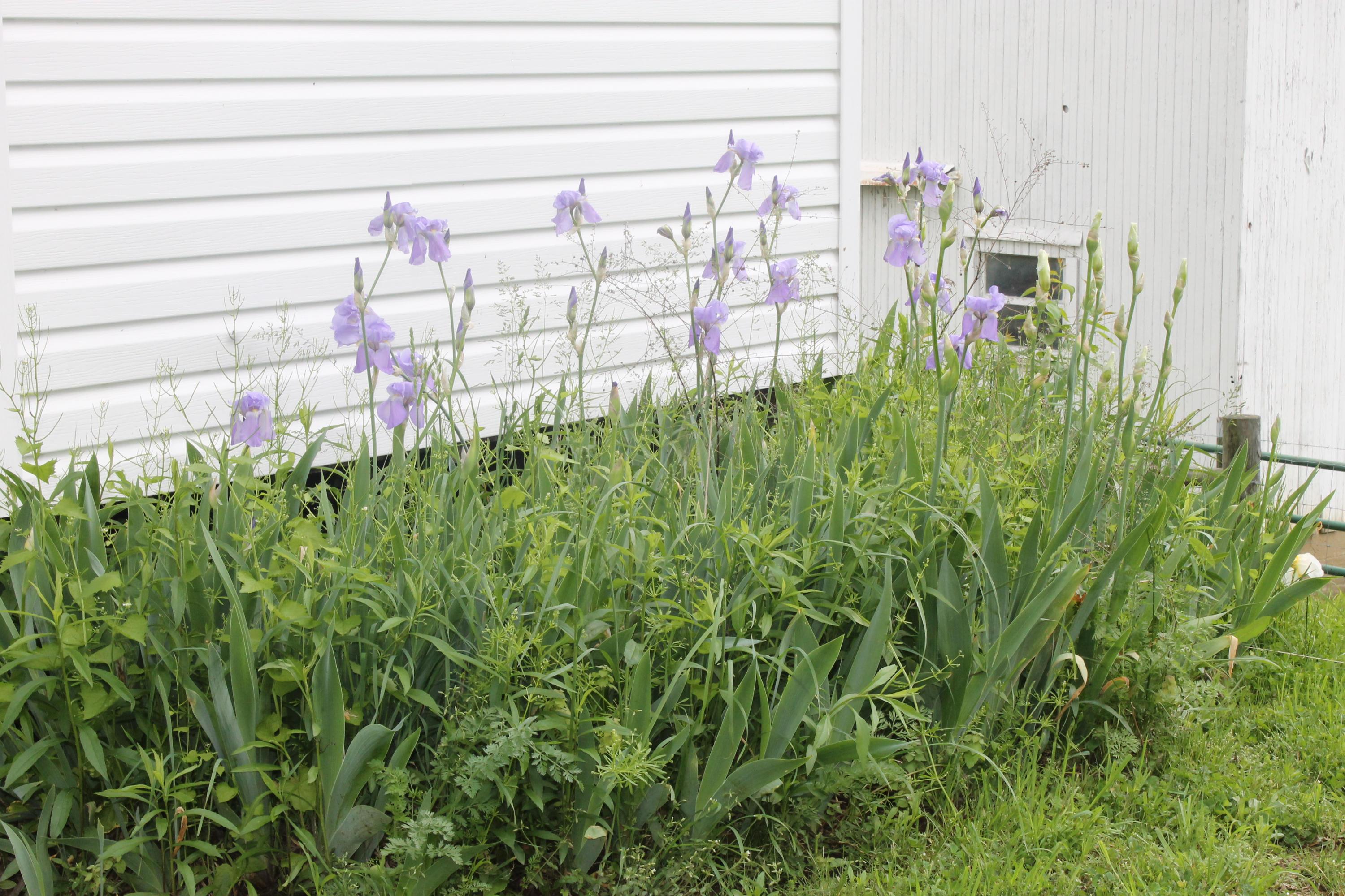 7985 Lancaster-Circleville Road Southwest Lancaster, OH 43130 - Photo 12 of 61