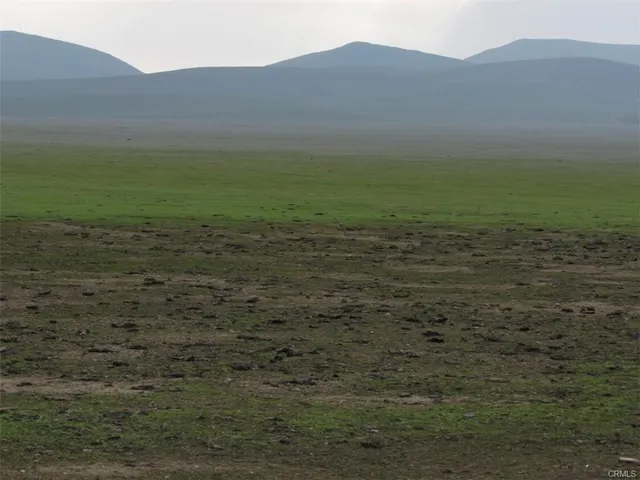 a view of a field with an ocean