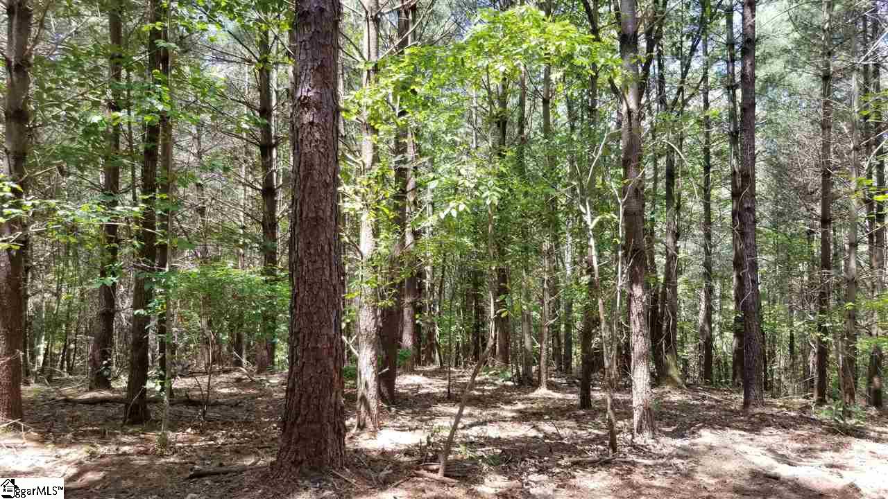 Old Chapman Bridge Road Salem, SC 29676 - Photo 3 of 4 Gallery Image 3