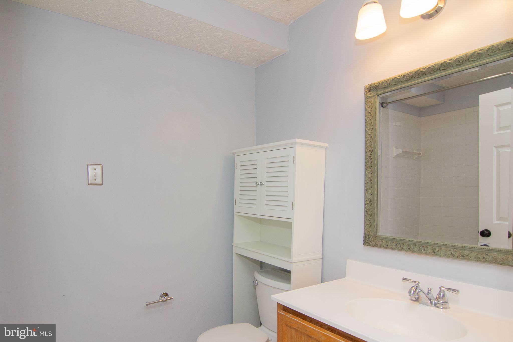 4823 Shellbark Road, Unit 4823 Owings Mills, MD 21117 - Photo 24 of 31 Primary bath