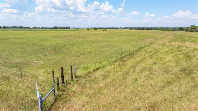 a view of a yard with a street