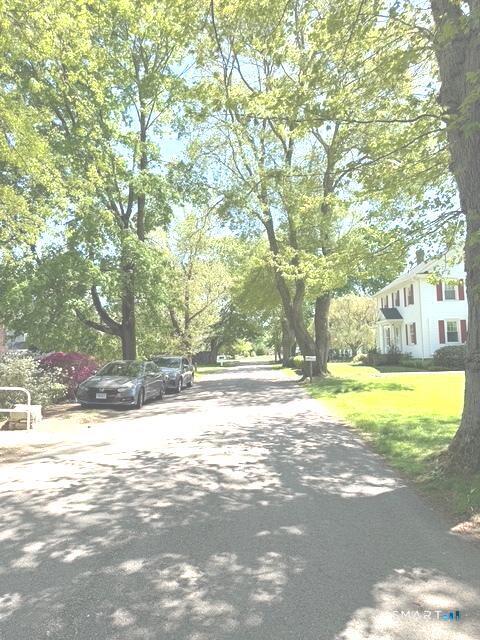 8 Ivy Road Stonington, CT 06355 - Photo 30 of 30 a view of a yard with a large tree