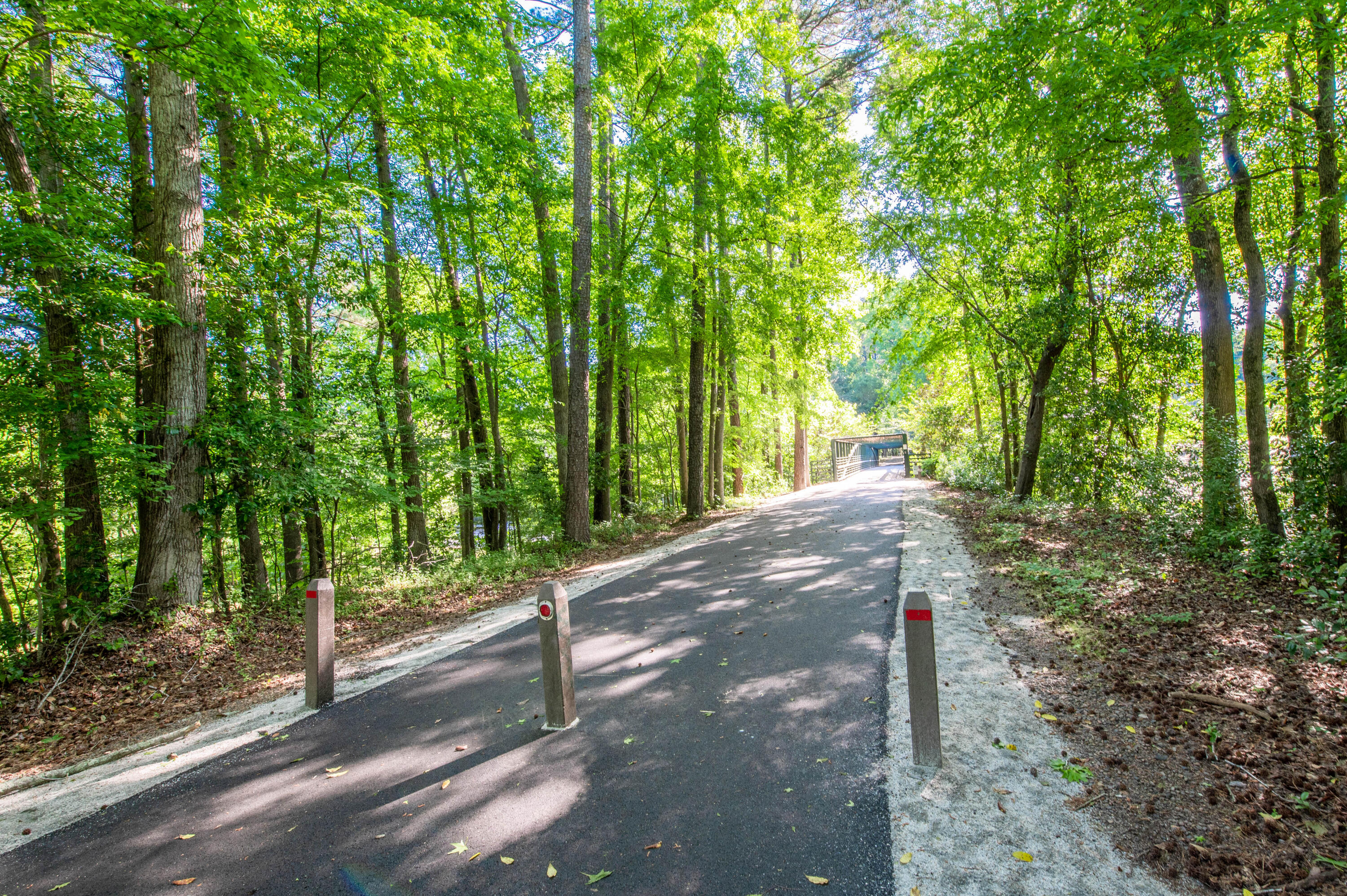 1932 Bolin Road North Augusta, SC 29841 - Photo 40 of 50 Greeneway Path!