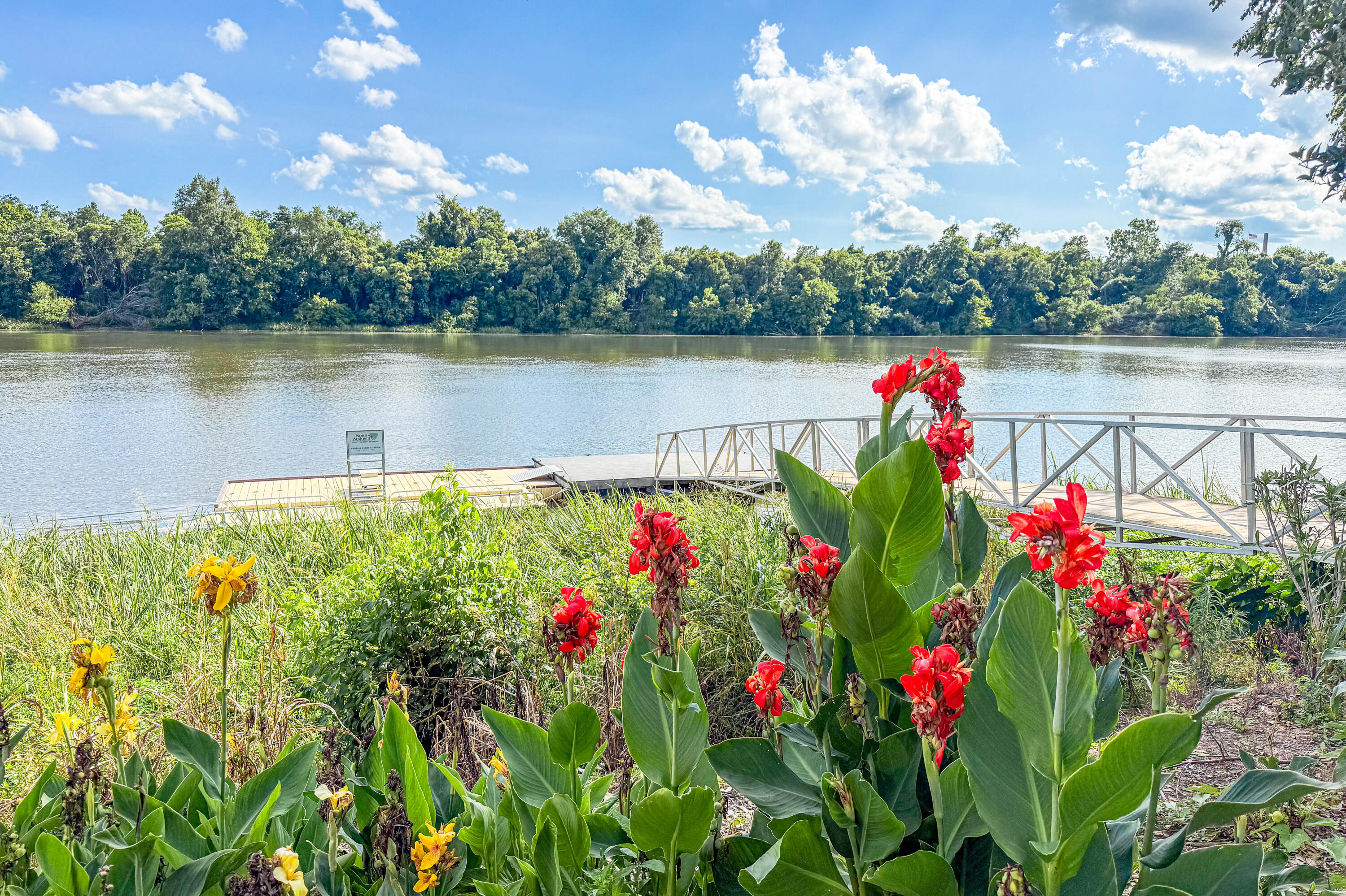 1932 Bolin Road North Augusta, SC 29841 - Photo 41 of 50 Greeneway Dock!