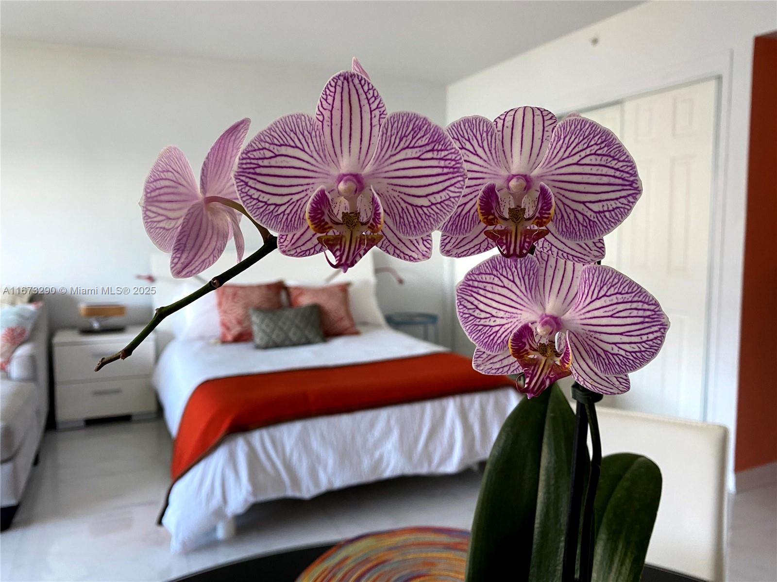 1500 Bay Road, Unit 956S Miami Beach, FL 33139 - Photo 9 of 34