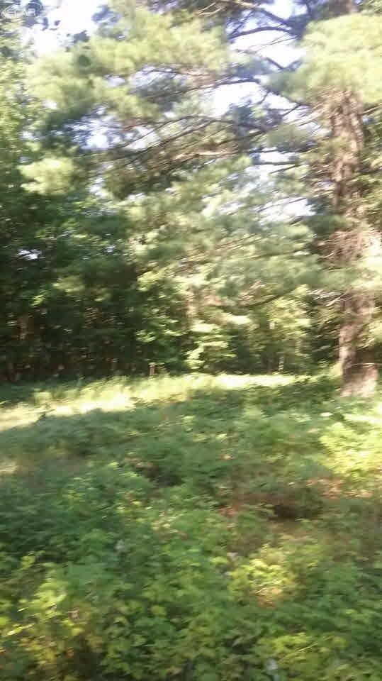 0 South National City Road Turner, MI 48765 - Photo 10 of 11