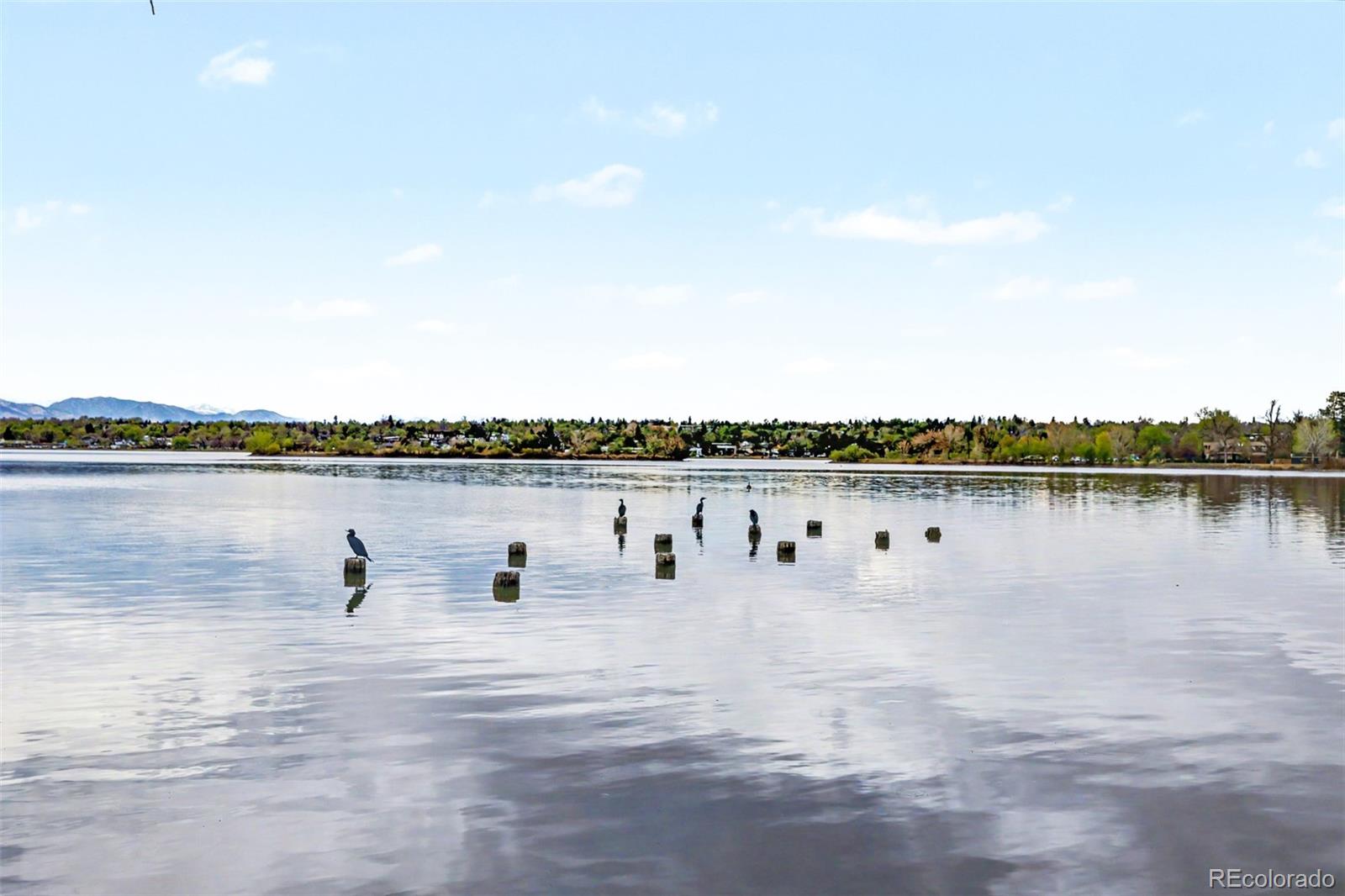 1085 Wolff Street Denver, CO 80204 - Photo 36 of 42