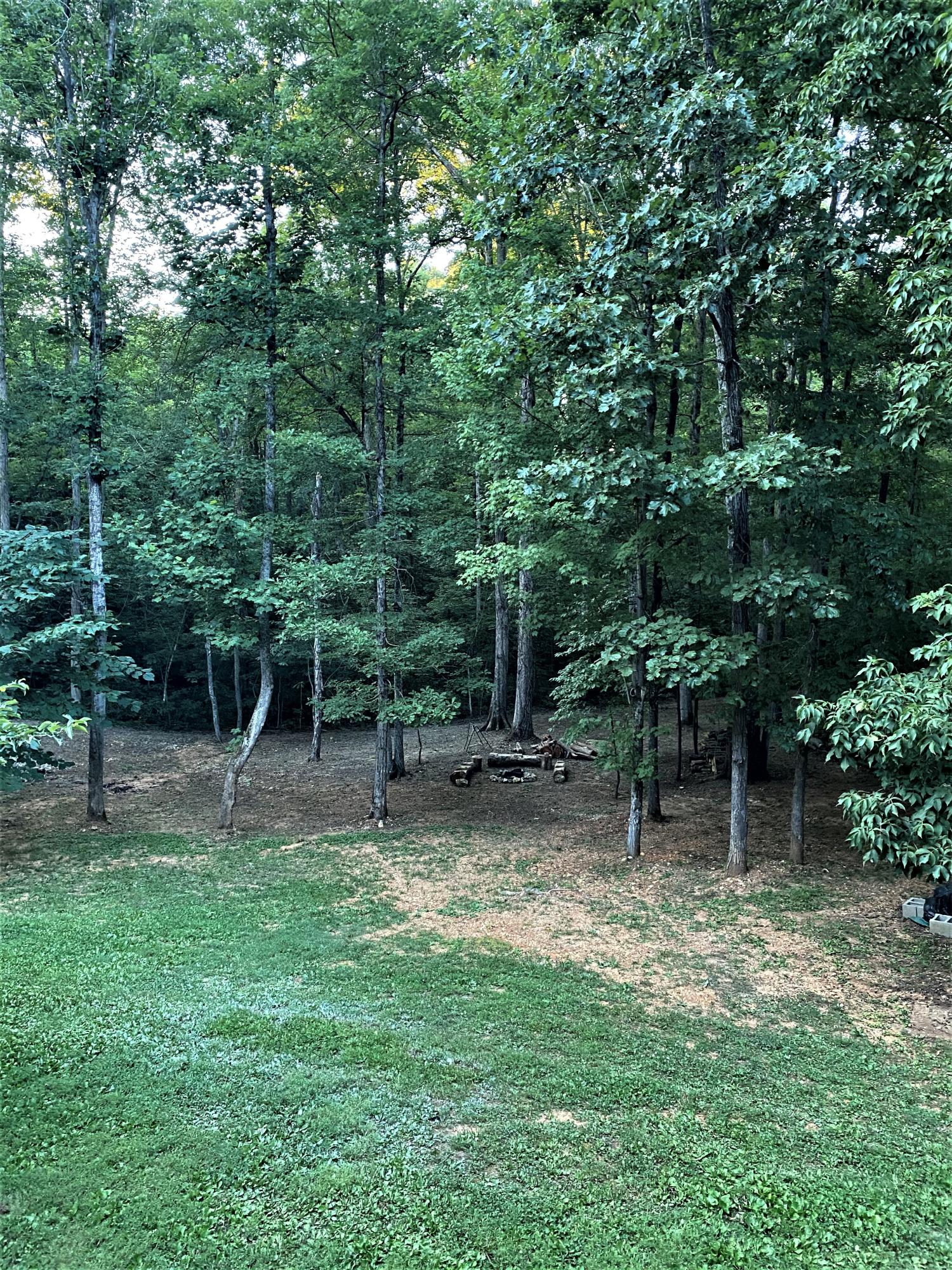 1034 Wilderness Road Friendsville, TN 37737 - Photo 20 of 24 Walking trail goes throughout property