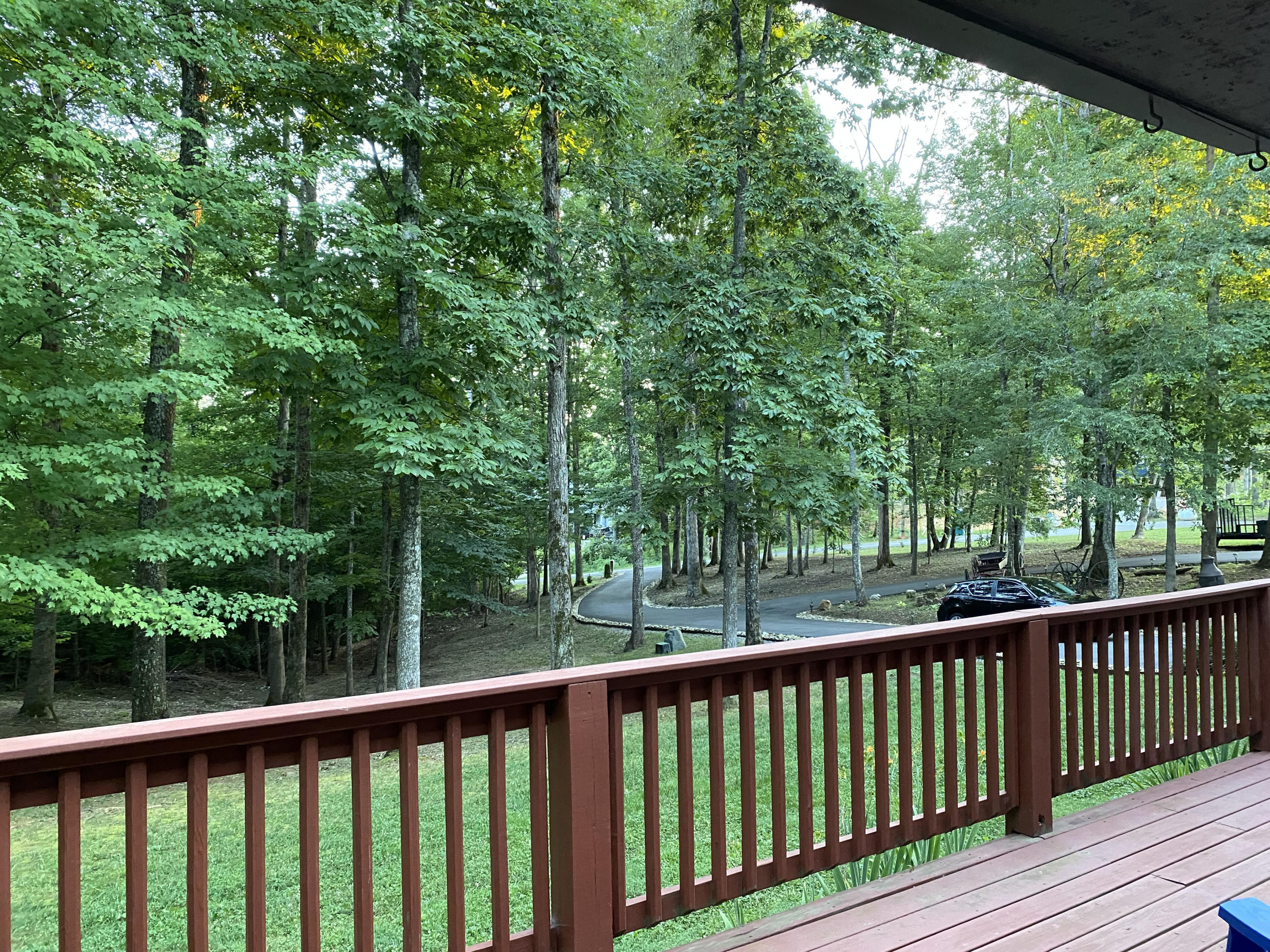 1034 Wilderness Road Friendsville, TN 37737 - Photo 21 of 24 Front looking at driveway