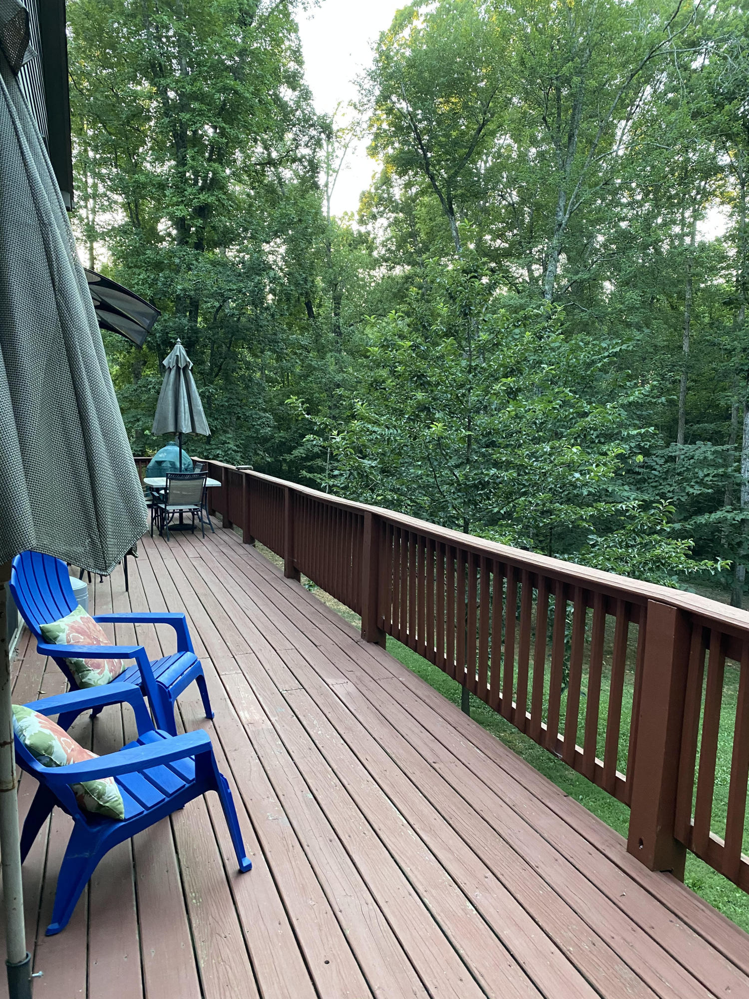1034 Wilderness Road Friendsville, TN 37737 - Photo 23 of 24 From the deck 3