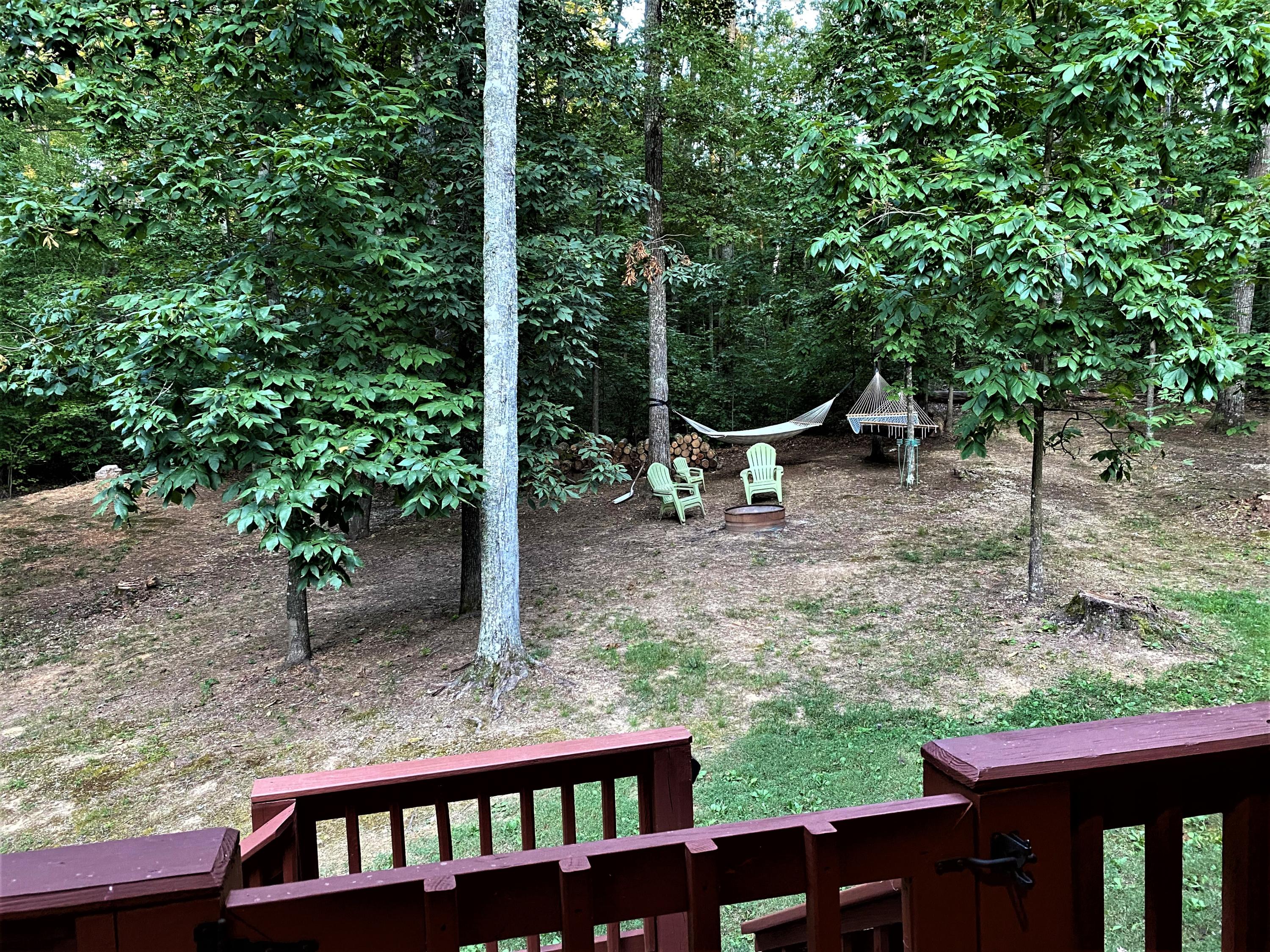 1034 Wilderness Road Friendsville, TN 37737 - Photo 24 of 24 From the deck 1