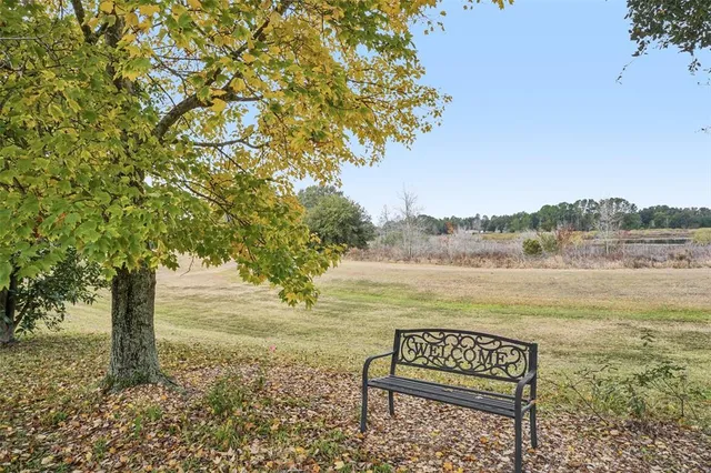 a view of lake with tree