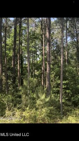 $110,000 | No Shows Road, Waynesboro, MS 39367