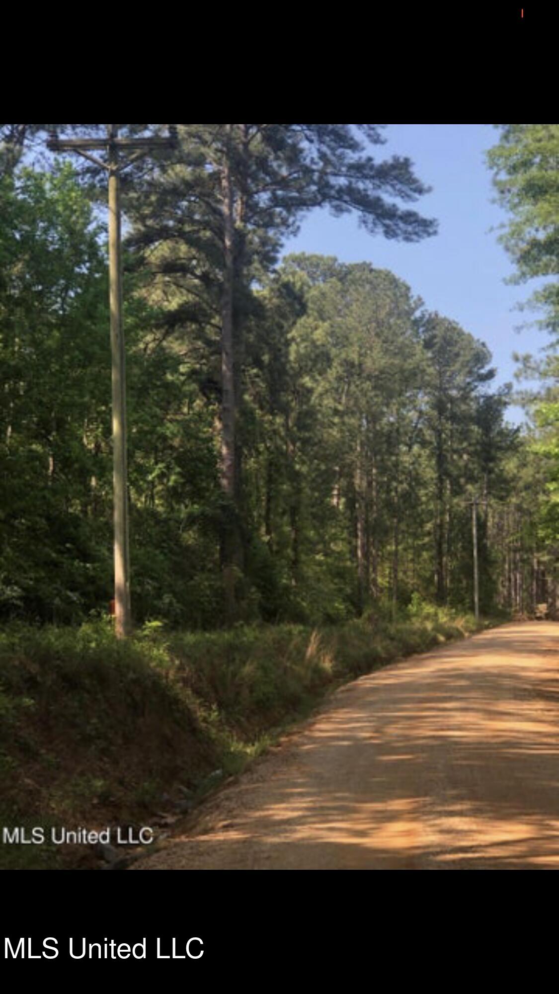 No Shows Road Waynesboro, MS 39367 - Photo 4 of 8 IMG_6291