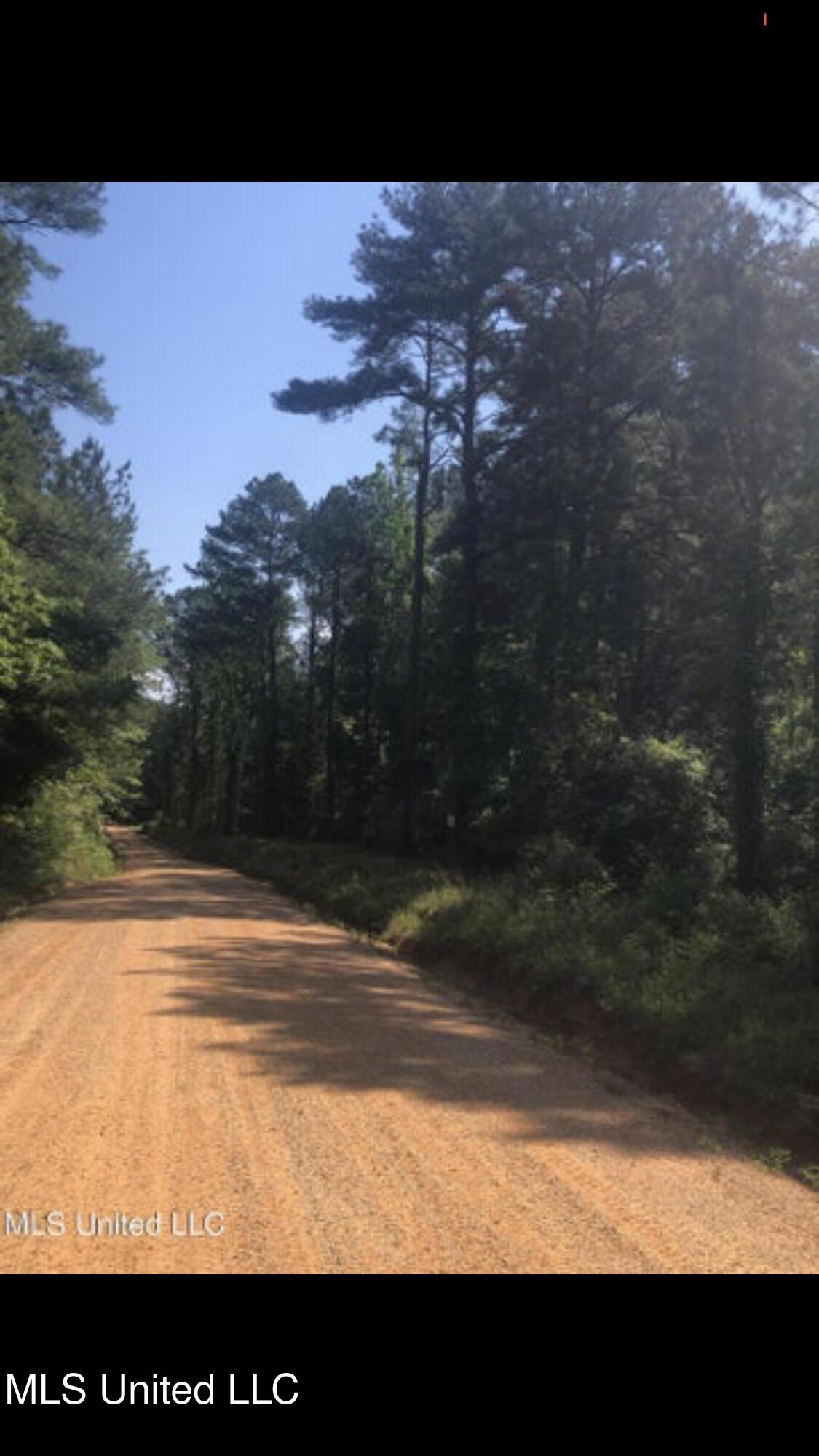 No Shows Road Waynesboro, MS 39367 - Photo 5 of 8 IMG_6290