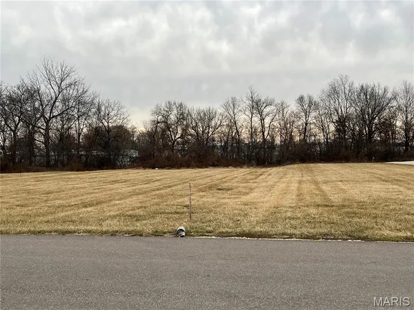 $70,000 | O Kincaid Street, Bowling Green, MO 63334