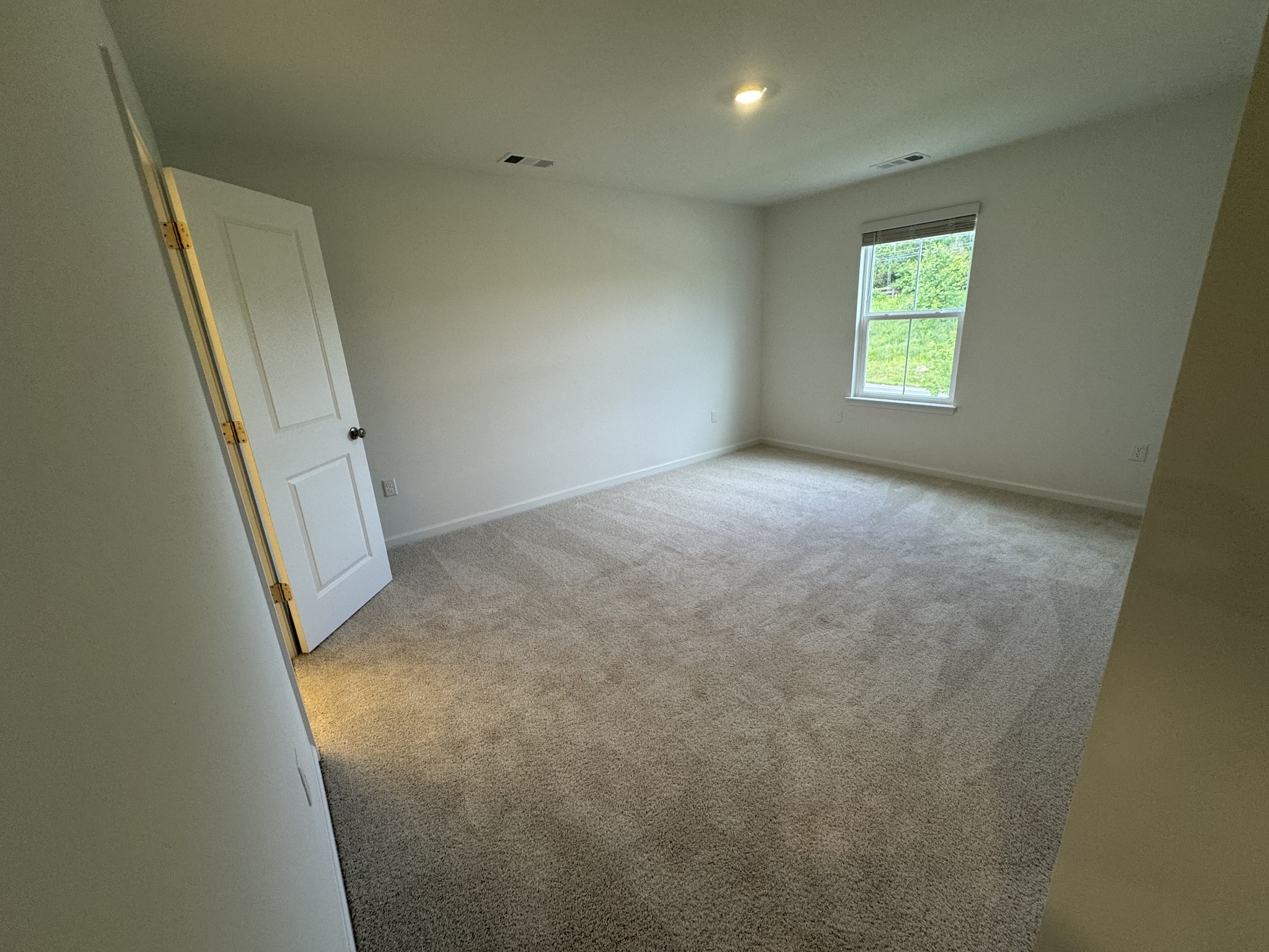 410 Blair Road Smyrna, TN 37167 - Photo 18 of 27 an empty room with windows