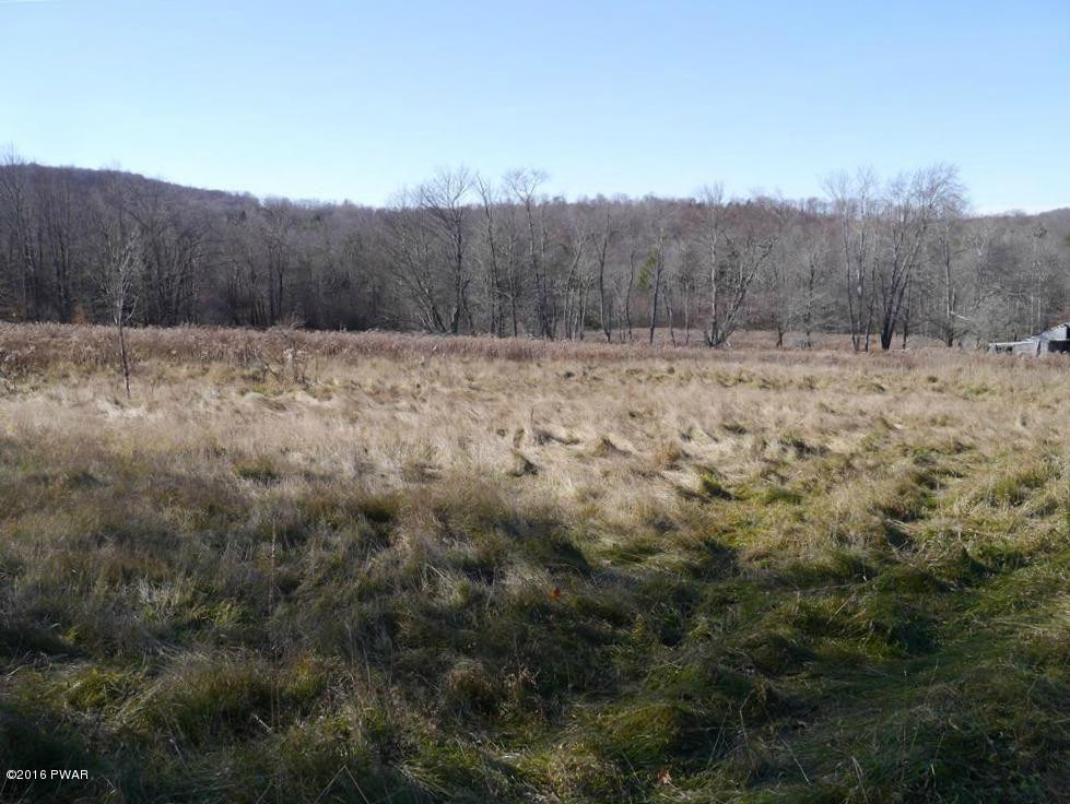 317 Leonard Road Pleasant Mount, PA 18453 - Photo 12 of 24 Fields