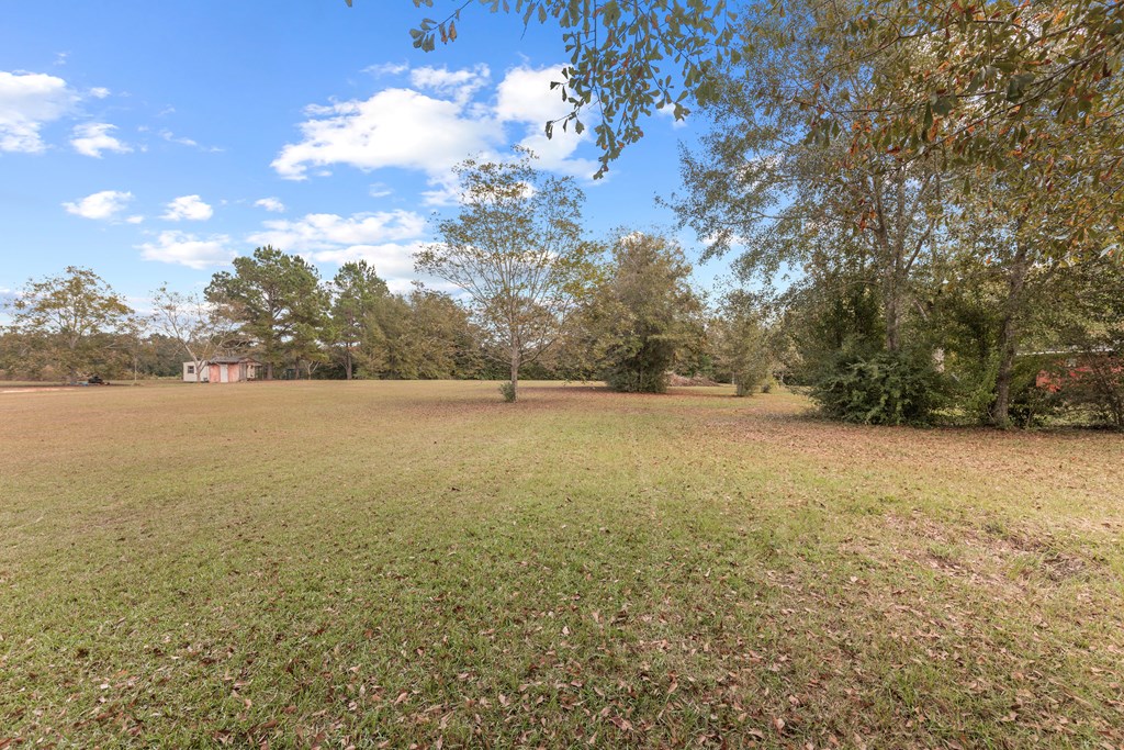 459 Mitchell Road Hartford, AL 36344 - Photo 29 of 32