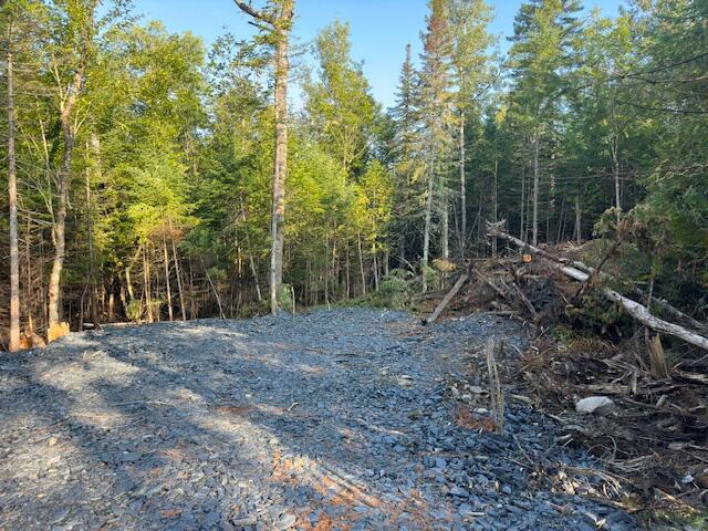 Lot 1 Lily Bay Road Greenville, ME 04441 - Photo 3 of 9 l8