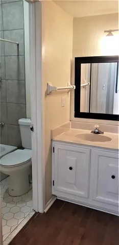 a bathroom with a sink a toilet and mirror