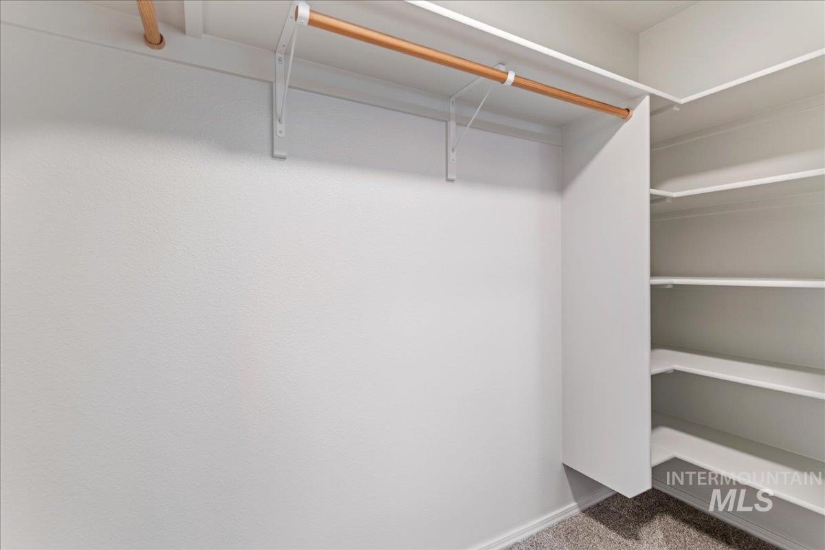 961 West Apple Pine Street Meridian, ID 83646 - Photo 15 of 30 Spacious closet with carpet floors