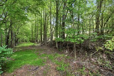 3 Hyalite Road East Dahlonega, GA 30533 - Photo 11 of 12