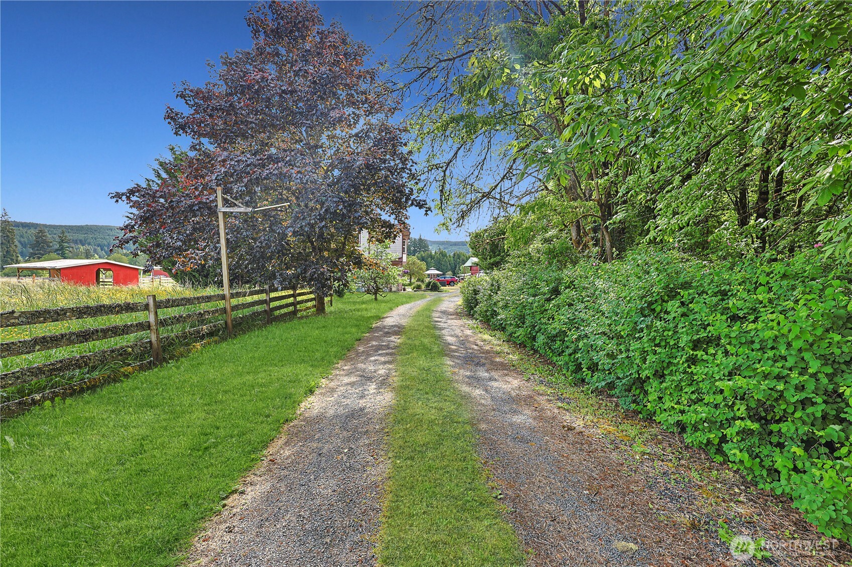 447 Boistfort Road Curtis, WA 98538 - Photo 3 of 40 a view of a park with large trees