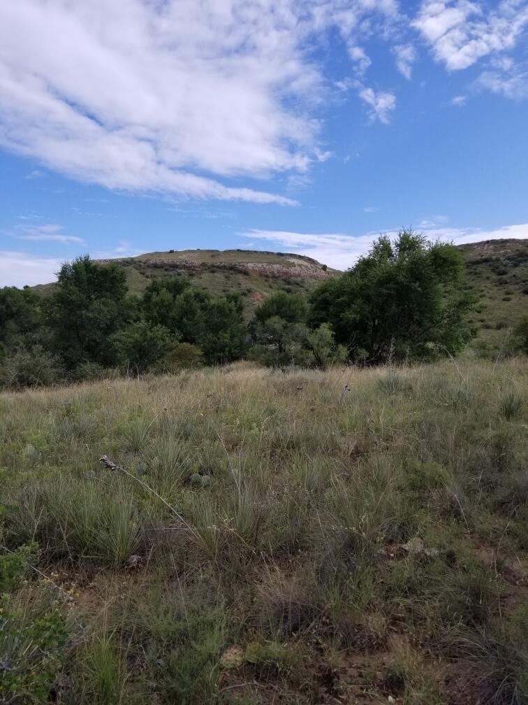 11120 Gentry Lane Slaton, TX 79364 - Photo 16 of 17 a view of a lush green forest with a house in the background