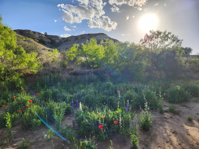 $2,200 | 11120 Gentry Lane, Slaton, TX 79364