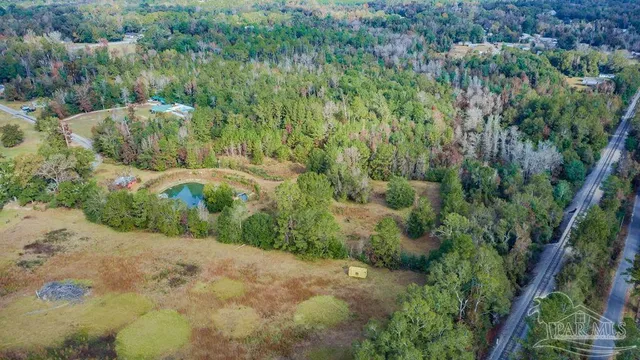 a view of a lush green forest with lots of trees