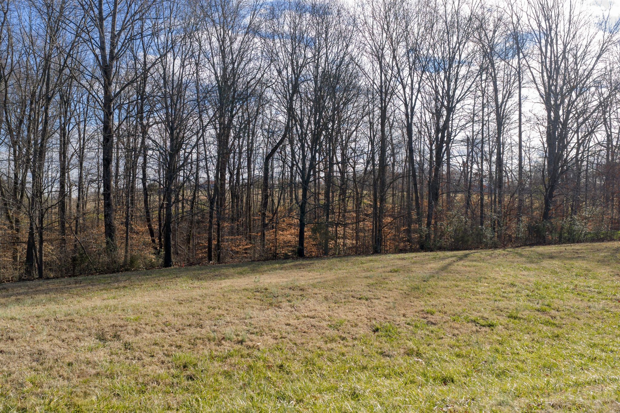 7322 Taylor Road Fairview, TN 37062 - Photo 2 of 12