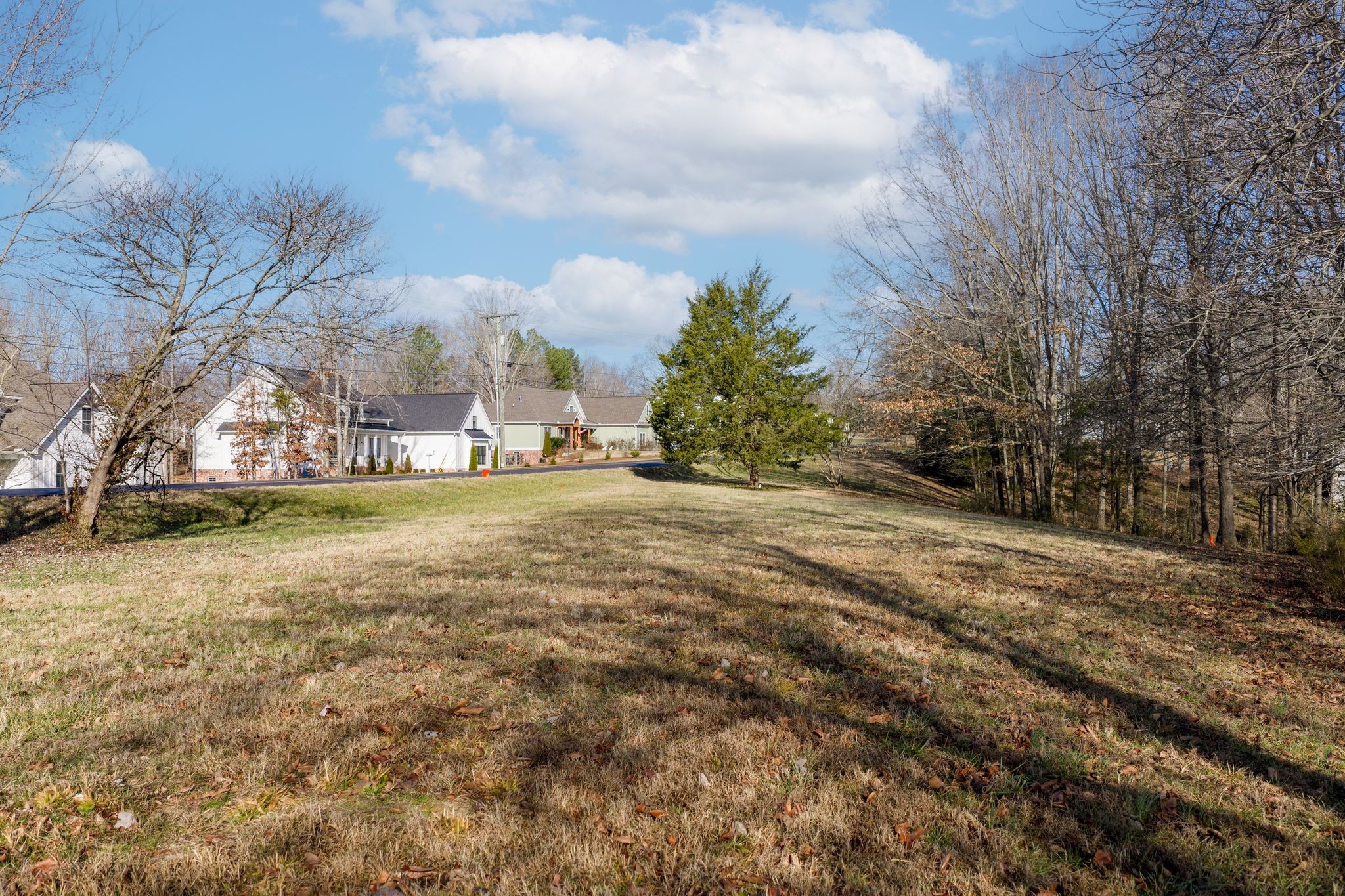 7322 Taylor Road Fairview, TN 37062 - Photo 6 of 12