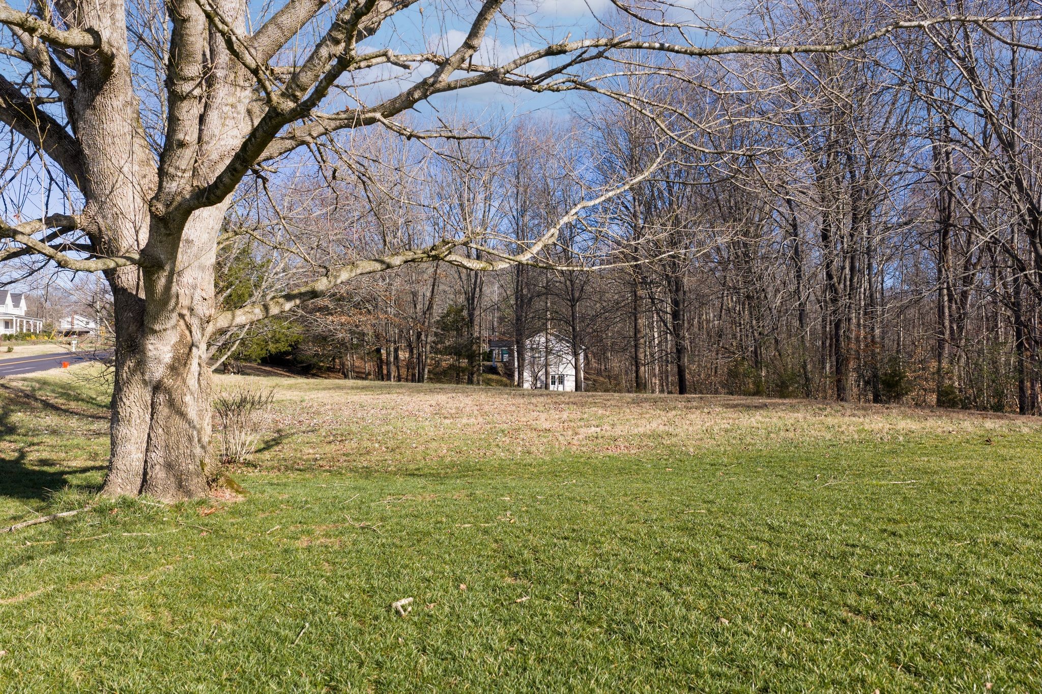 7322 Taylor Road Fairview, TN 37062 - Photo 7 of 12